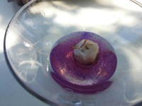 /album/galeria/cobres-en-copa-1-jpg/